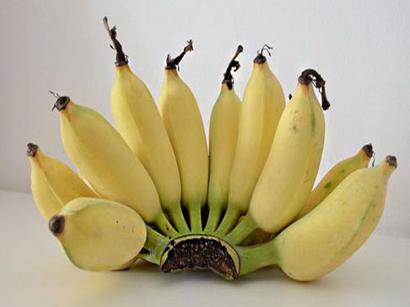 สรรพคุณของกล้วย แต่ละชนิด มีประโยชน์อย่างไร 
